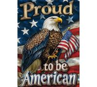 Kits de pintura de diamantes de águila americana para adultos, kits de pintura de diamantes para adultos principiantes, 5D DIY kit de arte de gemas de diamante para adultos, decoración de pared del