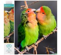 Kits de pintura de diamantes Nick y Lucy para adultos - Kits de arte de diamantes: un relajante kit de manualidades creativas con gemas Dotz de 1