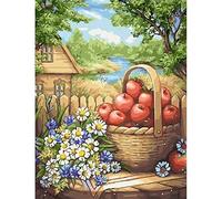 Kits De Pintura Por Números Para Adultos Niños Fruta Bodegón Enmarcado Naturaleza Muerta Paisaje Pintura Hogar Arte De La Pared Artesanía,Diy Frame,50X70Cm Pintura Por Números Para Niños & Adultos &