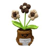 Kits de plantas de ganchillo amigables con guía visual, suministros de manualidades de hilo de algodón suave para decoración del hogar, maceta sostenible hecha a mano