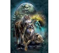 Kits de punto de cruz estampados, patrón impreso de noche de lobo OWN4B 11CT 14.2 x 18.1 pulgadas, kit de bordado de bricolaje (lobo)