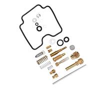 Kits de Reparación de Carburador de Motocicleta 25 Piezas Juego de Reparación de Carburador Juego de Piezas de Carburador con Aguja Flotante Repuesto para Can Am Bombardier DS650 DS 650 2000-2007