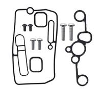 Kits De Reparación para Carburador Motocicleta para Yamaha YFZ450, WR250F, WR450F Y YZ450F. Kit Arandela Anillo Sellado Carb Piezas