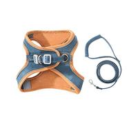 Kitten Vest Comfort Fit - Protective Safety Vest, Pet Costume with Reflective Safety, Animal Harness, Pet Outfit, Adventure Gear for Walking Hiking and Halloween Fun at Home Living Room Bedroom