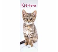 Kittens - Kätzchen - Katzenjunge 2026 - Slimline-Kalender: Original Carousel Calendar [Mehrsprachig] [Kalender]