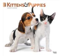 Kittens & Puppies 2027 12 X 24 Inch (Hanging) Monthly Square Wall Calendar Foil Stamped Cover Plastic-Free: Original BrownTrout-Kalender [Mehrsprachig] [Kalender]