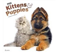 Kittens & Puppies - Kätzchen & Welpen 2026 - 16-Monatskalender: Original BrownTrout-Kalender [Mehrsprachig] [Kalender]