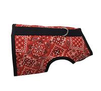 Kitty Holster Arnés para Gato, pequeño/Mediano, Bandana roja