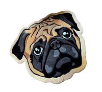 kivrimlarv Dog Welcome Mat - Puppy Kitchen Rug, Animal Door Carpet Indoor Entrance with Anti Slip Backing, Home Floors Protector for Entryway Living Room Hallway Indoor Use