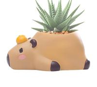 kivrimlarv Maceta de resina con agujero de drenaje, bonita maceta decorativa de Capibara para suculentas y cactus, divertida maceta con forma de animal, decoración única de mesa, estante de escritorio