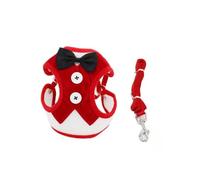KIXZSAZ Conjunto de Correa y arnés para Cachorros, Traje Transpirable pequeño y Mediano a Prueba de Escape, Cable de Transporte Ajustable, Chaleco para Mascotas de fácil Control, Rojo/M