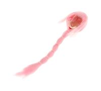 KIXZSAZ de acción de simulación de Cabello Que Mejora Las Figuras de muñecas de 12 Pulgadas con una Peluca bellamente elaborada, Modelo de Cabeza de, Trenza Rosa