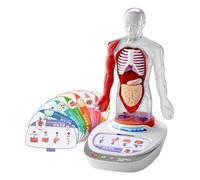 KIXZSAZ Modelo de partes del cuerpo para niños. Herramienta educativa atractiva para comprender la estructura de los órganos humanos. La base giratoria 360° permite que los niños observen desde varios