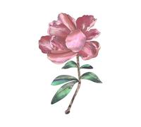 KIXZSAZ Pegatinas de incrustación seguras para guitarras. Diapasón de guitarra resistente a las roturas. Decoración para amantes de la música. Regalo duradero. Pegatina de, Flor roja
