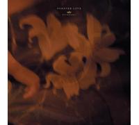 Kiyoharu - Forever Love