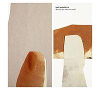 Kjetil Mulelid Trio - Who Do You Love The Most? [VINYL] [Vinilo]