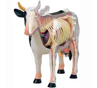 KJMWXOP Modelo anatómico de Vaca 4D, Desmontable, 29 Piezas, anatomía de órganos de Vaca, Modelo Educativo de enseñanza de Ciencias médicas, Juguete de anatomía, Rompecabezas sim