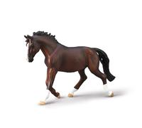 Yegua Oldenburg - (XL)