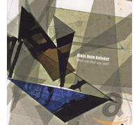 Klaus Holm Kollektif - What Was That You Said ?