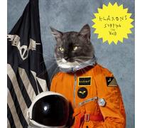 Klaxons - Surfing the Void