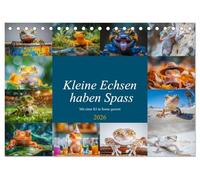 Kleine Echsen haben Spass (Tischkalender 2026 DIN A5 quer), CALVENDO Monatskalender: Ihre zarten Bewegungen und verspielten Gesten bringen Freude und ... Art die Herzen im Sturm erobern.