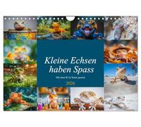 Kleine Echsen haben Spass (Wandkalender 2026 DIN A4 quer), CALVENDO Monatskalender: Ihre zarten Bewegungen und verspielten Gesten bringen Freude und ... Art die Herzen im Sturm erobern.