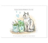 Kleine Schnurr-Momente fürs Herz (Wandkalender 2026 DIN A2 quer), CALVENDO Monatskalender: Lichtblicke für die Seele