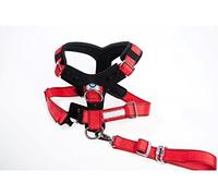 Kleinmetall Allsafe Comfort - Cinturón de Seguridad para Perros (Talla L)