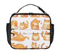KLL Bolsa de almuerzo reutilizable con doble cremallera para mujer, con asa, bolsa térmica aislada para la escuela/picnic, un conjunto de lindo gato gordo naranja