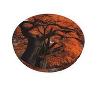 KLLTYHMU Tree in The Fall - Fundas de asiento redondas elásticas antideslizantes para taburetes de bar, extraíbles, lavables, a prueba de polvo, para cocina, comedor, cafetería, 13 pulgadas