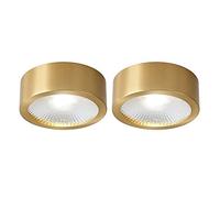 Klobvtt 2 Piezas LED Downlight Latón Techo Acento Spot Iluminación Montaje Latón Montaje en Superficie Foco, Downlights Direccionales Cobre Mini Luces de Techo para Sala de Estar Pasillo