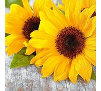 Klocke Servietten Bonito & veraniego Servilletas - Verano Diseño: Girasol - Pack de ahorro: 100 unidades - 33 cmx33 cm - Mesa Servilletas/Verano Servilletas/dekoservi etten