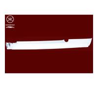Umbral de la puerta izquierda 6505-06-0054001P BLIC para BMW 3 3 Touring
