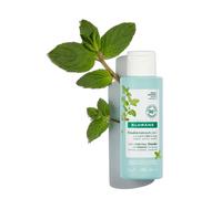 Poudre purifiante 3 en 1 à la Menthe aquatique BIO & argiler