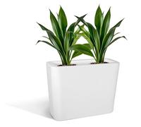 Kloris Maceta Alta Rectangular Moderna para setos y Vallas Mod. Blog Polietileno 70 x 30 cm Altura 70 cm