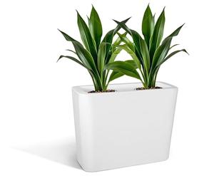 Kloris Maceta Alta Rectangular Moderna para setos y Vallas Mod. Blog Polietileno 70 x 30 cm Altura 70 cm