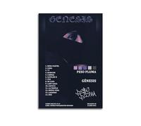 klouds Peso Pluma Álbum Génesis Tracklist Póster Pintura Decorativa Lienzo Dormitorio Arte Sala de Estar Decoración Estética Moderna Póster 30x45cm Estilo Sin Marco