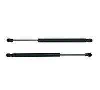 KMAGE 2Pcs Car Front Capó del Motor Capó De Gas Puntales De Elevación Barra De Soporte De Varilla para B&MW Serie 3 E46 2001-2006 51238202688 Resorte Gas Capó Motor