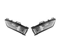 KMAGE Indicador Giro Espejo Retrovisor Coche Para Ford Para Fiesta MK8 2017 2018 2019 2020 2021 2022(A pair)