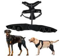 Knee Brace Harness for Dogs, Double Metal Hinges Support for Hind Leg, Adjustable Wrap, Breathable Material for Pets Recovery and Daily Joint Stability (XL)