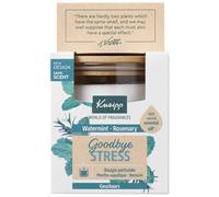 Kneipp Vela perfumada para el estrés - Con menta de agua y aceite esencial de romero - Para un ambiente relajante en el hogar - 145 gramos