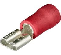 KNIPEX Terminales hembra aislados 100 unidades de cada tipo, 97 99 020