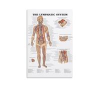 KNKncnv The Lymphatic System Art Poster Pintura Decorativa Lienzo Arte Mural Salón Póster Dormitorio Pintura, Arte de Pared Impresión de Imagen Moderna Decoración de Habitación Familiar 08 x 12
