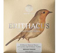 KNOBLOCH ERITHACUS Cuerdas Guitarra Española, Naturalidad y Fluidez