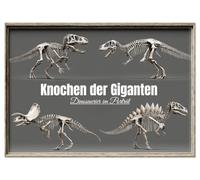 Knochen der Giganten - Dinosaurier im Porträt (Wandkalender 2026 DIN A4 quer), CALVENDO Monatskalender: Faszinierender Designkalender mit ... Dinosaurier-Kalender für Jungen & Familien!
