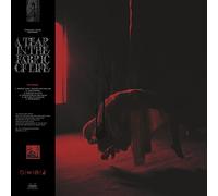 Knocked Loose - A Tear in the Fabric of Life [Vinilo]
