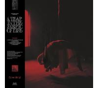 Knocked loose - A tear in the fabric of life [Vinilo]