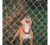 Knocked Loose - Pop Culture [Vinilo]