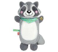 moses. Pequeña bolsa de agua caliente para mapache, botella de calor con revestimiento, funda de agua caliente con bonito diseño de mapache, botella de cama extraíble y lavable para bebés y niños