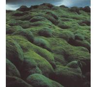 Knutsson, Jonas - Malgomaj